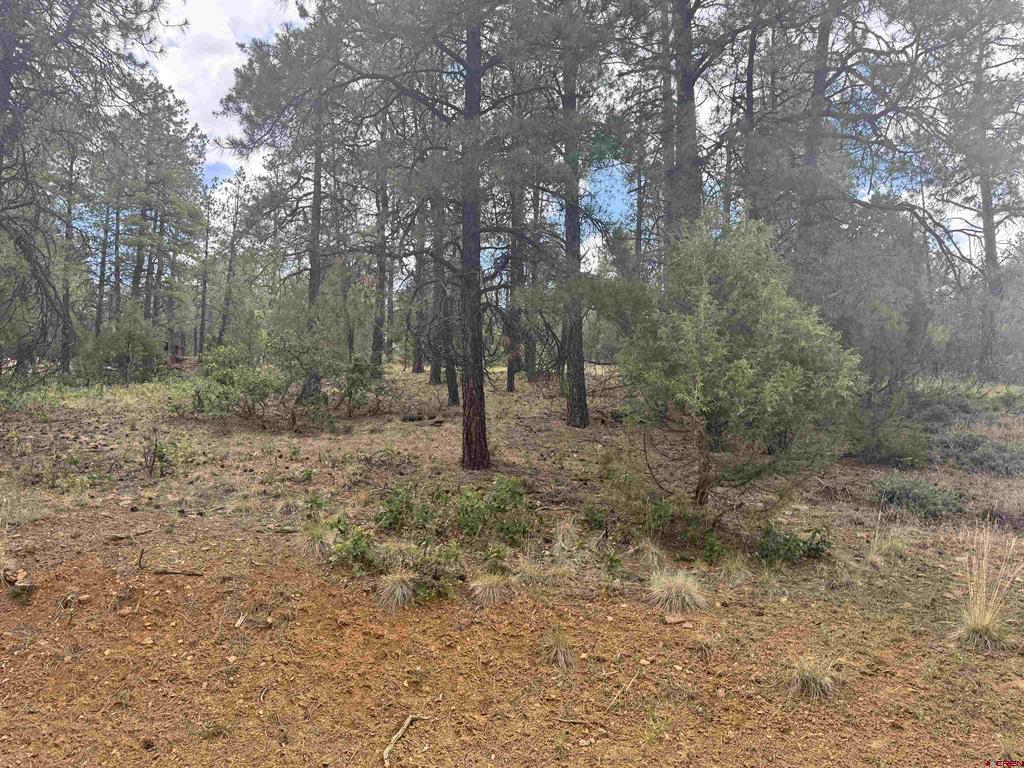 1259 Westview Road Pagosa Springs CO 81147