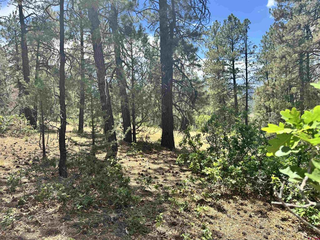 1259 Westview Road Pagosa Springs CO 81147