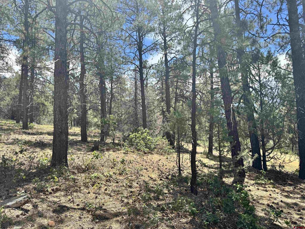 1259 Westview Road Pagosa Springs CO 81147