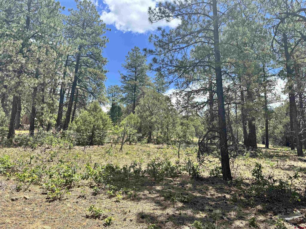1259 Westview Road Pagosa Springs CO 81147