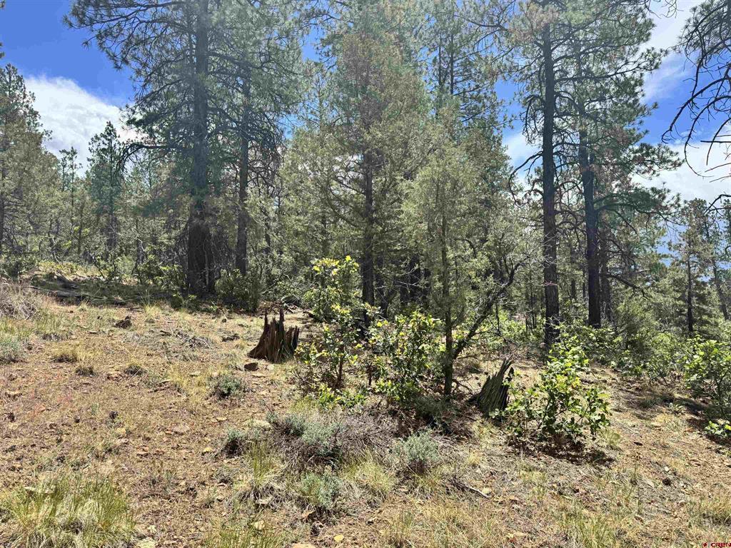 1259 Westview Road Pagosa Springs CO 81147