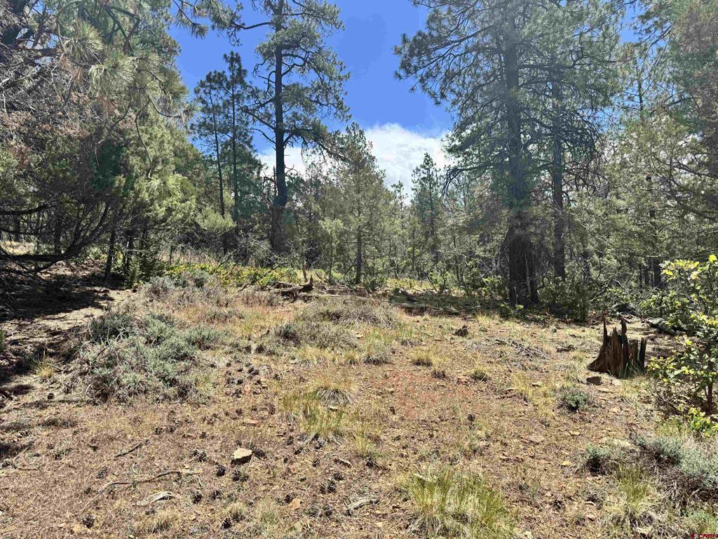 1259 Westview Road Pagosa Springs CO 81147