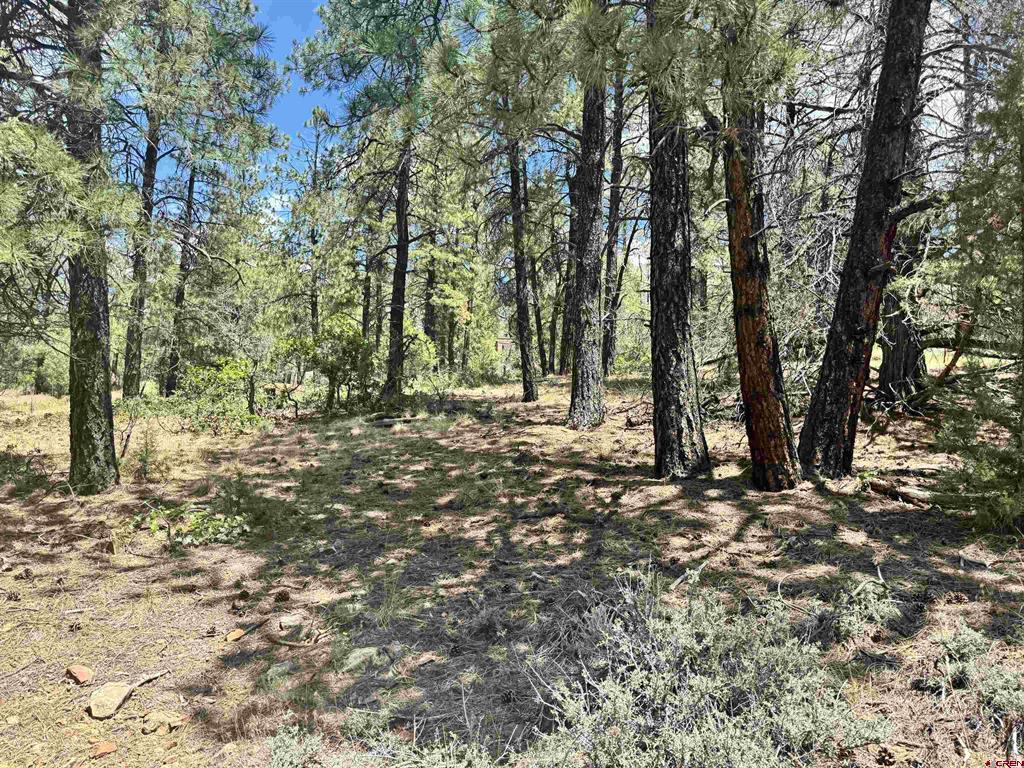 1259 Westview Road Pagosa Springs CO 81147