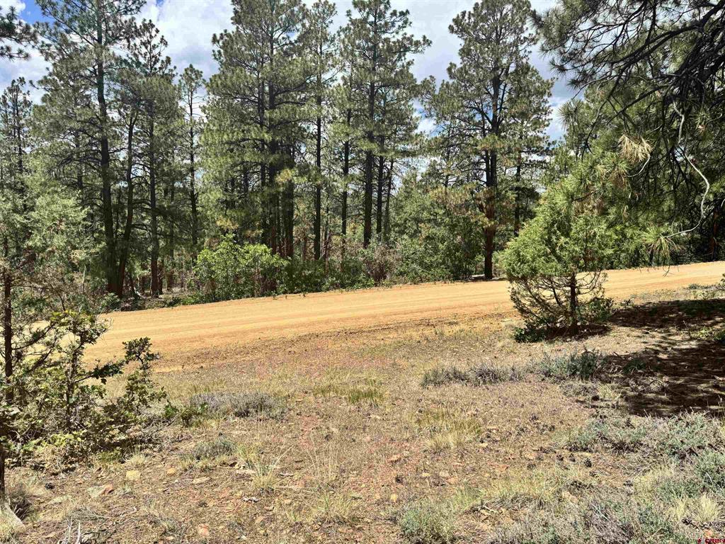 1259 Westview Road Pagosa Springs CO 81147