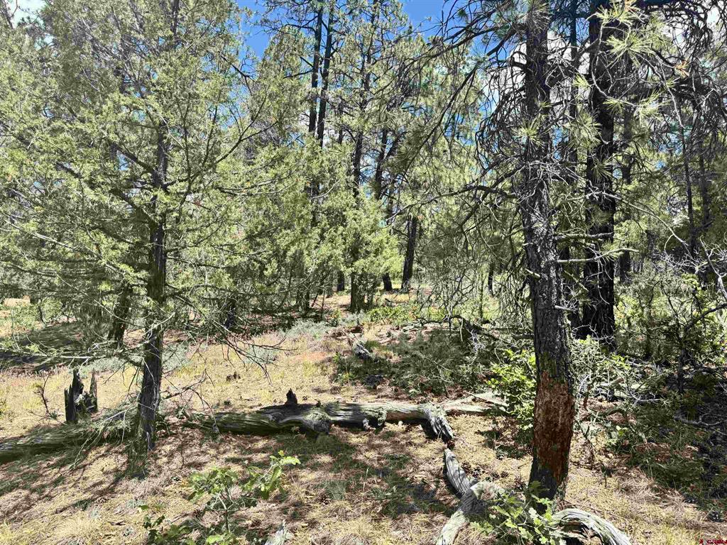 1259 Westview Road Pagosa Springs CO 81147
