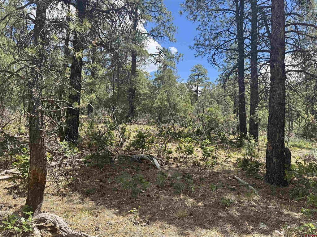 1259 Westview Road Pagosa Springs CO 81147