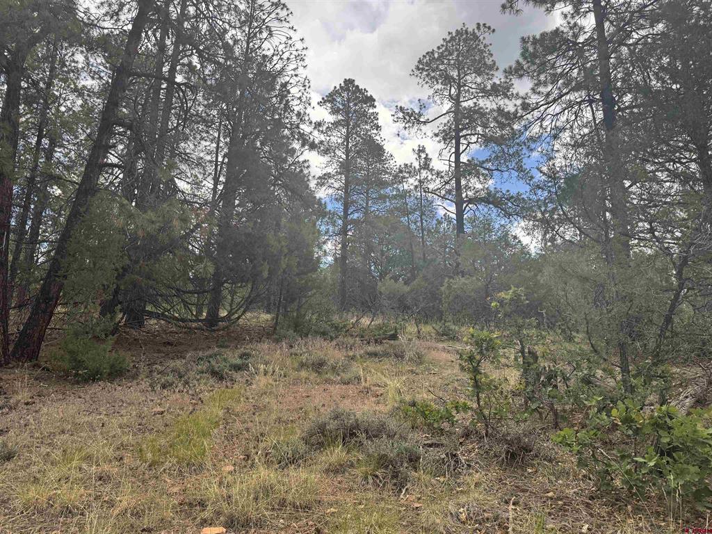 1259 Westview Road Pagosa Springs CO 81147