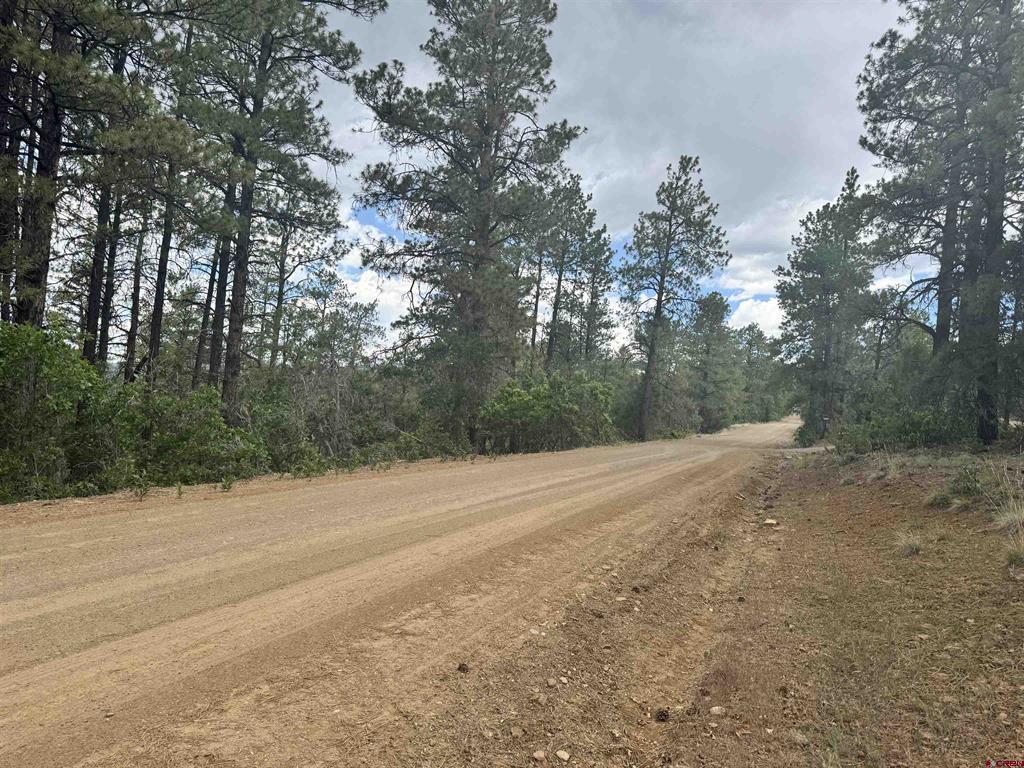 1259 Westview Road Pagosa Springs CO 81147