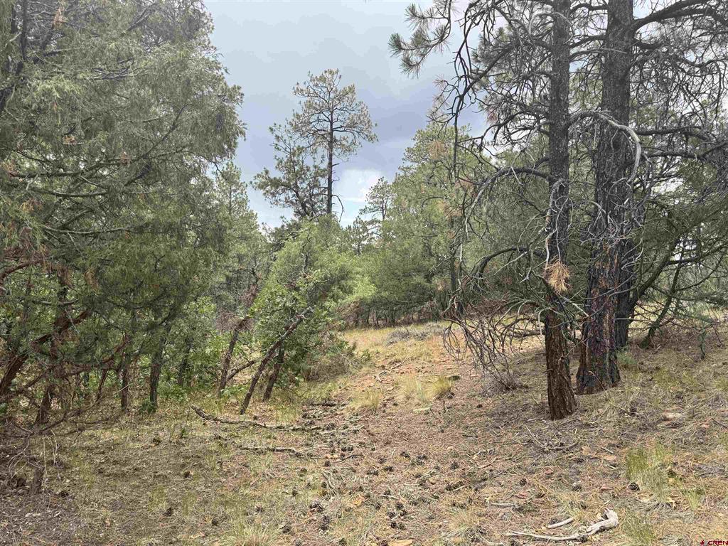 1259 Westview Road Pagosa Springs CO 81147