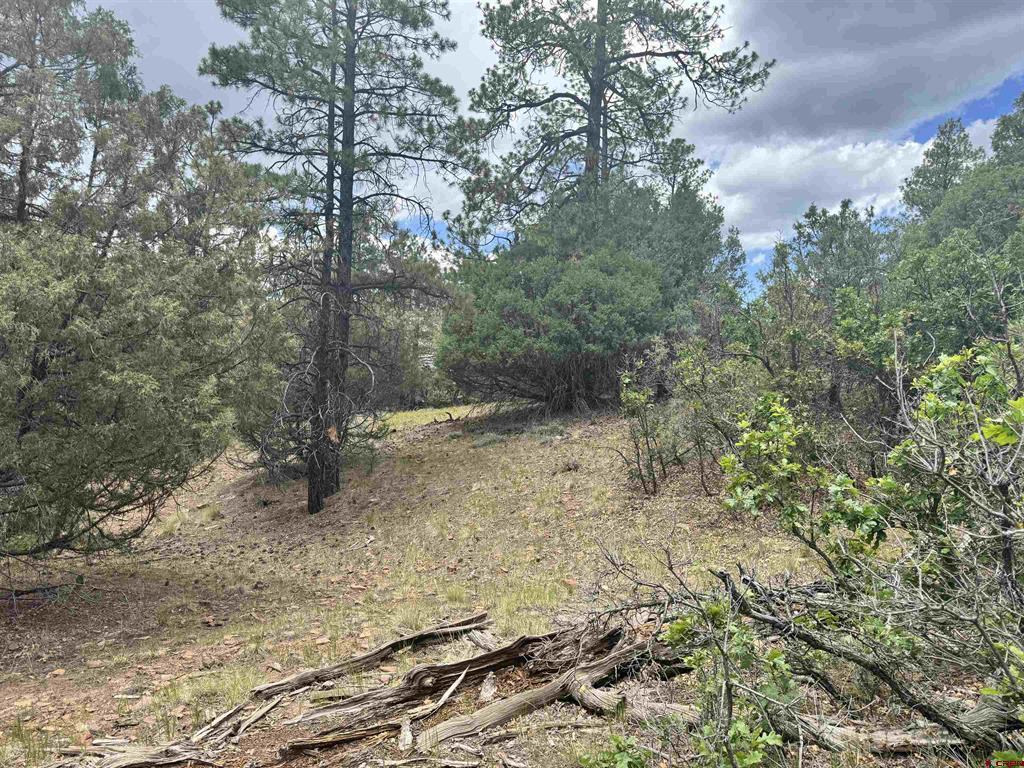 1259 Westview Road Pagosa Springs CO 81147