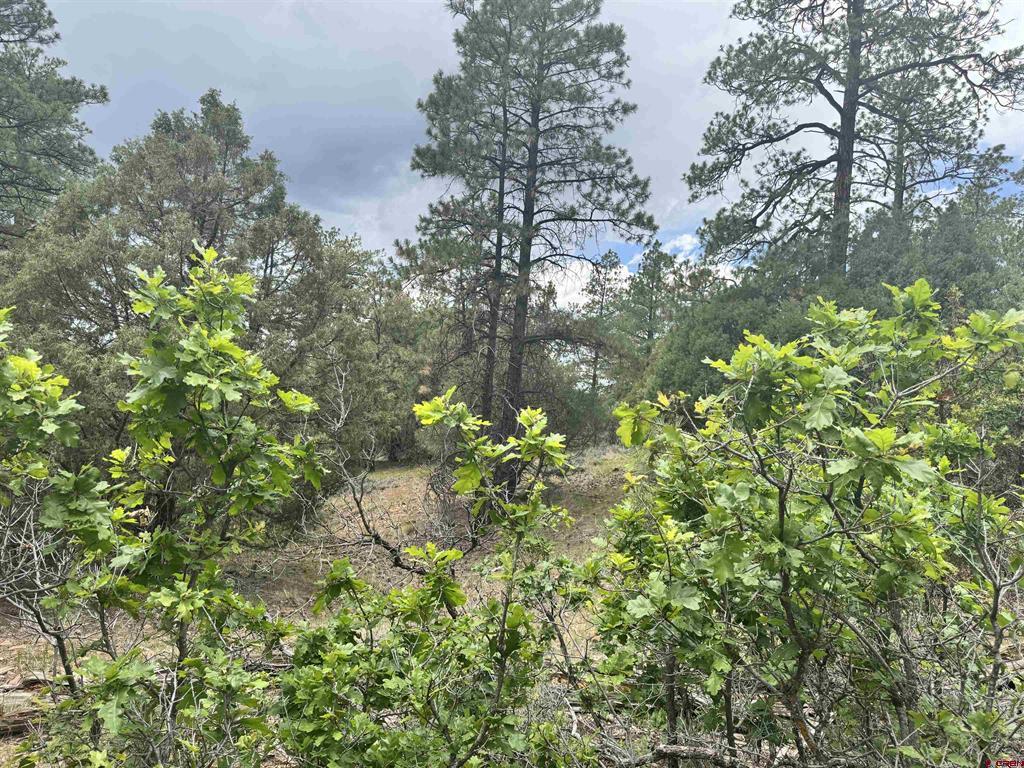 1259 Westview Road Pagosa Springs CO 81147