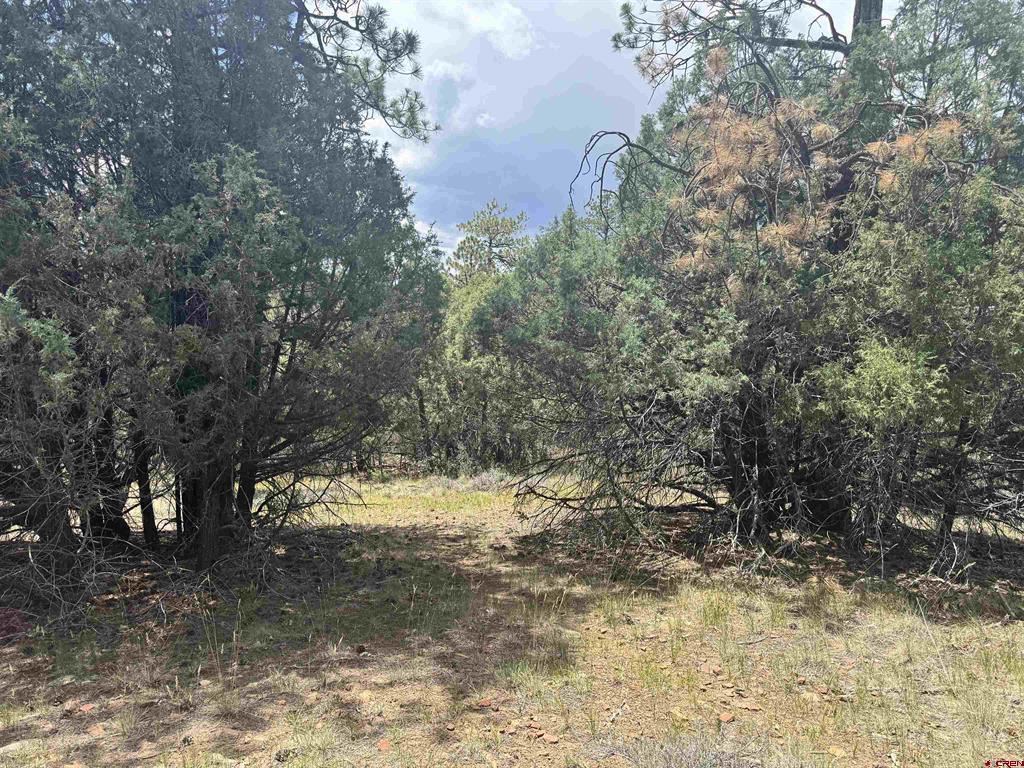 1259 Westview Road Pagosa Springs CO 81147