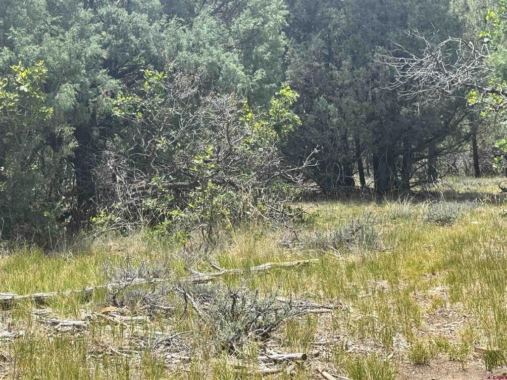 1259 Westview Road Pagosa Springs CO 81147