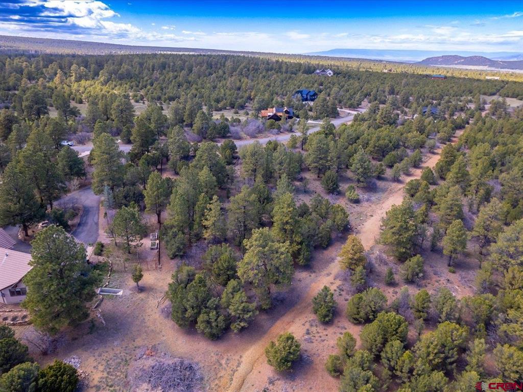 Tbd Lot 556 Badger Trail N. Ridgway CO 81432