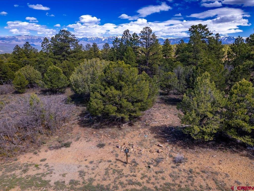 Tbd Lot 556 Badger Trail N. Ridgway CO 81432