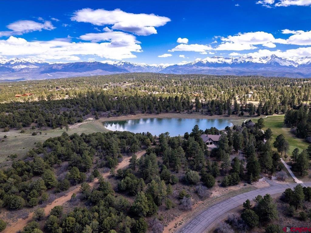 Tbd Lot 556 Badger Trail N. Ridgway CO 81432