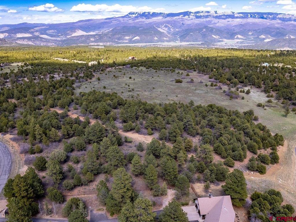Tbd Lot 556 Badger Trail N. Ridgway CO 81432