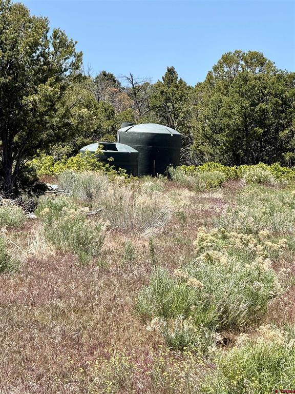 626 Sage Road Montrose CO 81403