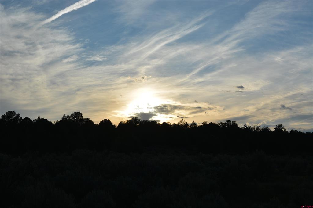 Tbd County Road 109 Hesperus CO 81326