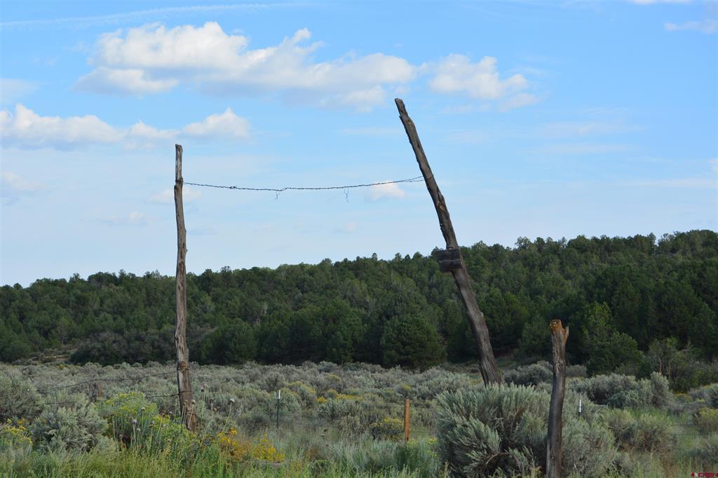 Tbd County Road 109 Hesperus CO 81326