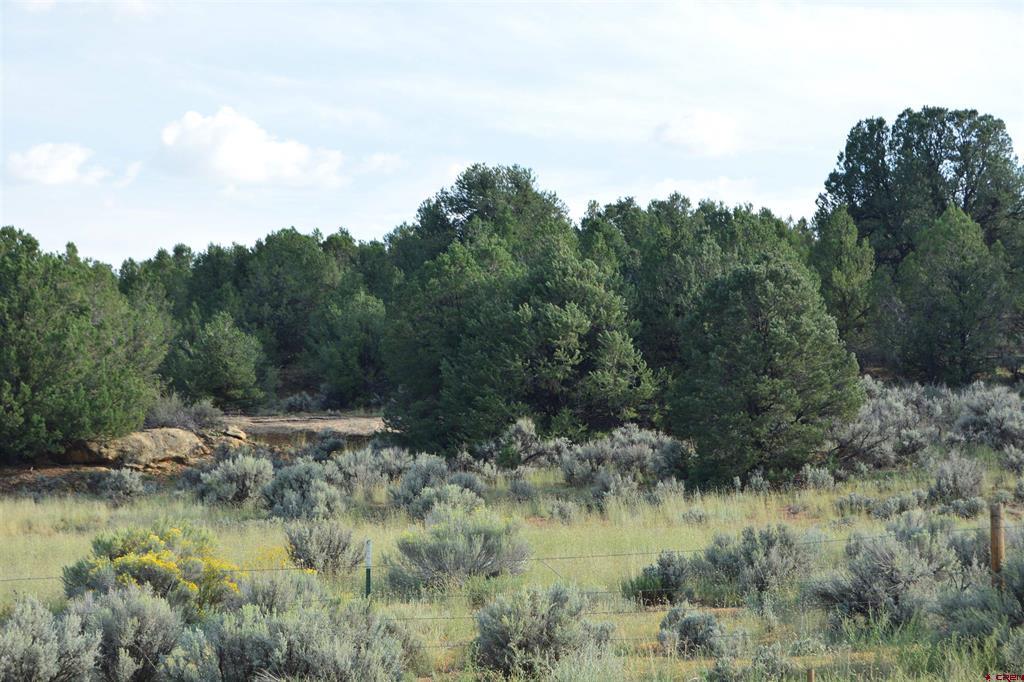 Tbd County Road 109 Hesperus CO 81326