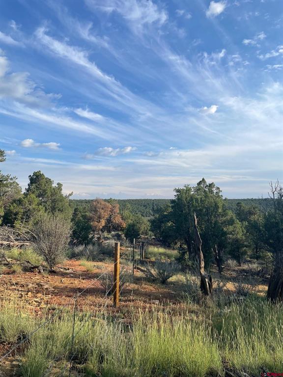 Tbd County Road 109 Hesperus CO 81326
