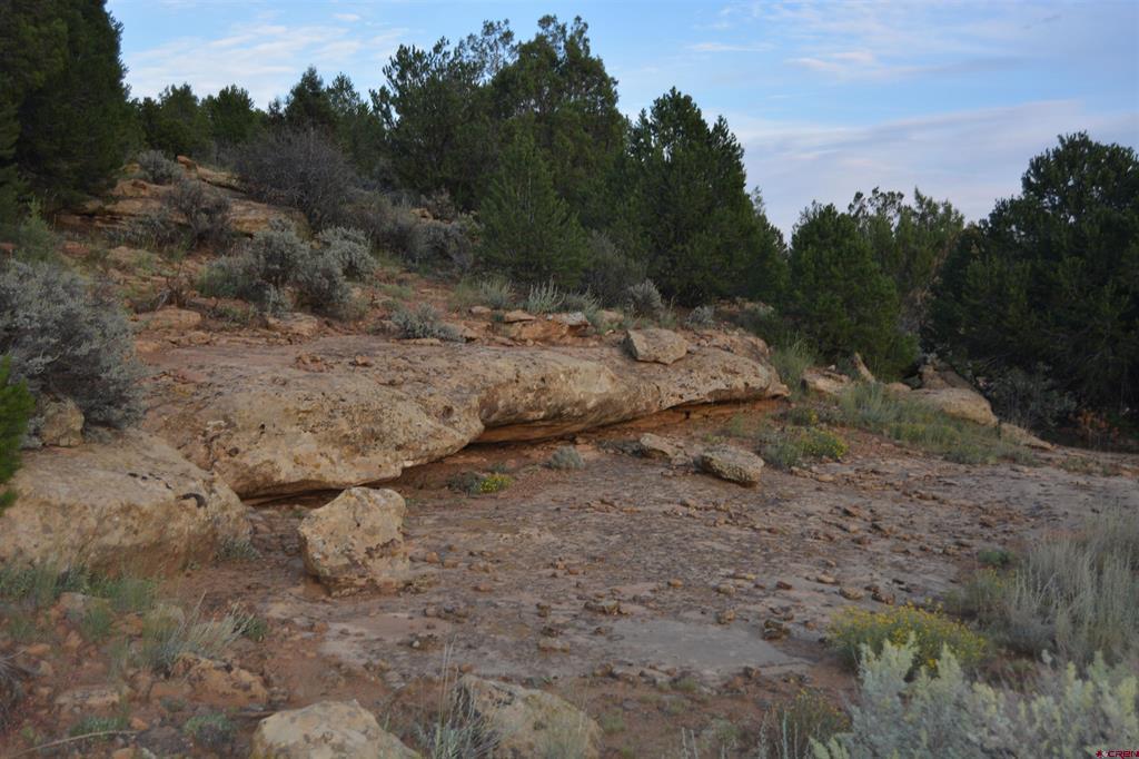 Tbd County Road 109 Hesperus CO 81326