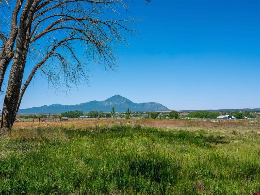 12195 Road 26 Cortez CO 81321