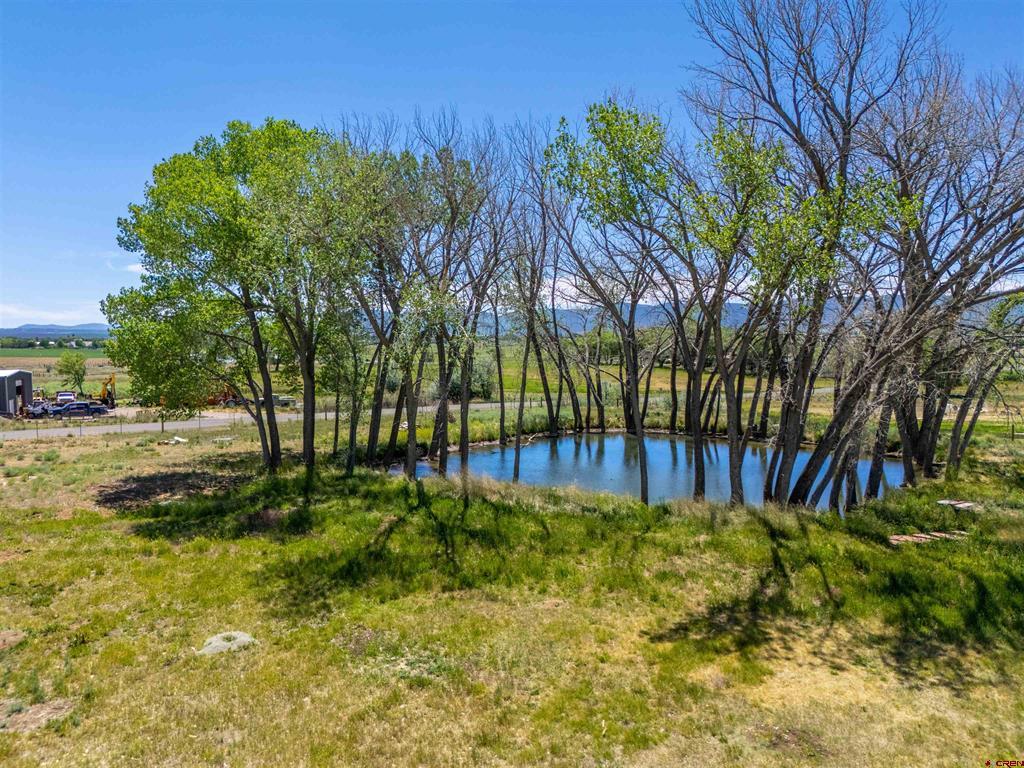 12195 Road 26 Cortez CO 81321