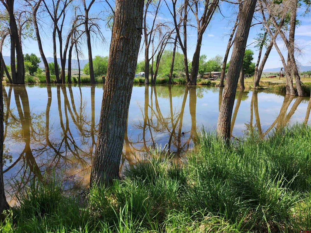12195 Road 26 Cortez CO 81321