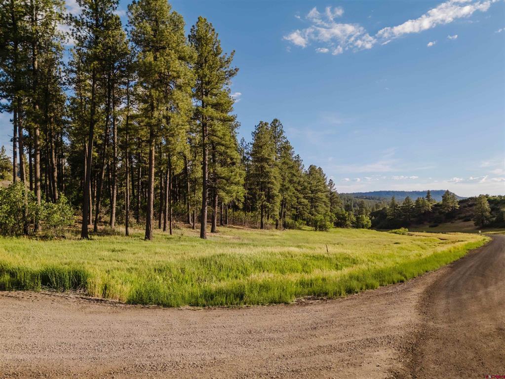 Pagosa Springs CO, 359 Ironwood