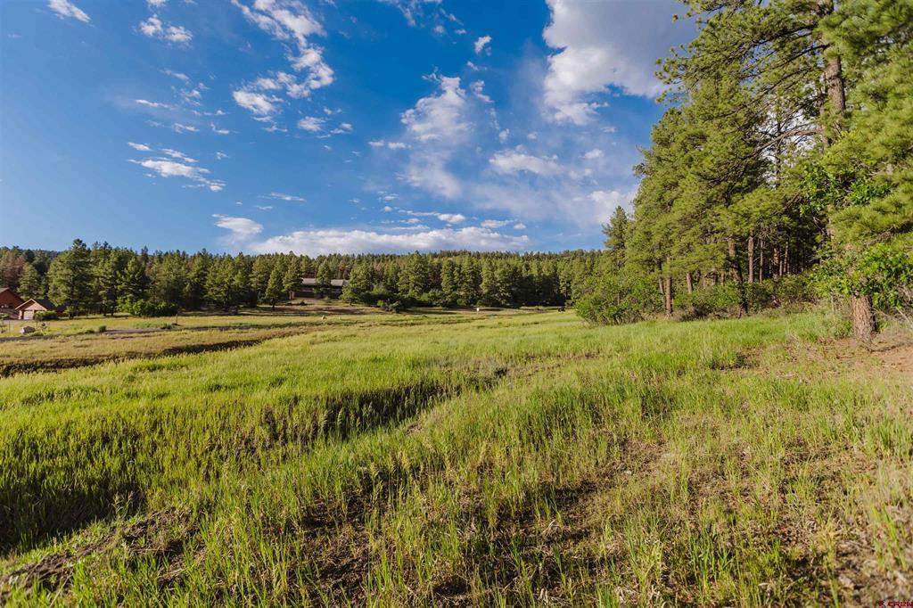 359 Ironwood Drive Pagosa Springs CO 81147