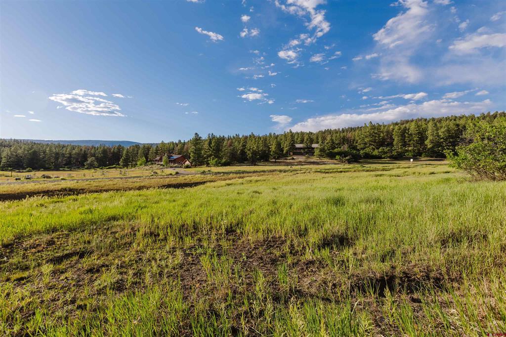 359 Ironwood Drive Pagosa Springs CO 81147