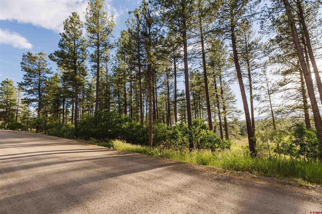 359 Ironwood Drive Pagosa Springs CO 81147