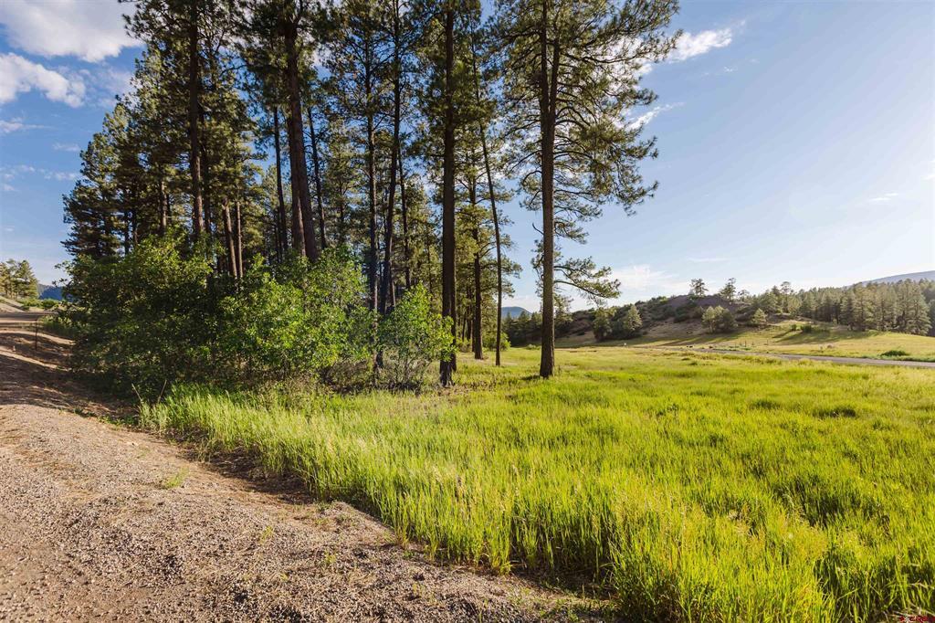 359 Ironwood Drive Pagosa Springs CO 81147