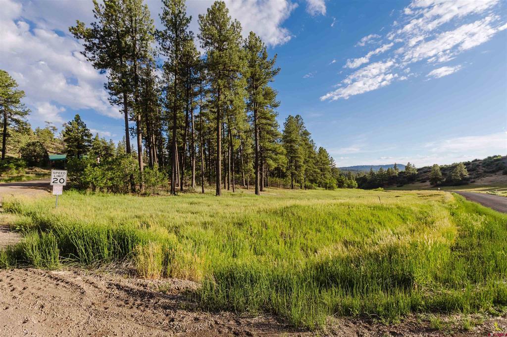 359 Ironwood Drive Pagosa Springs CO 81147
