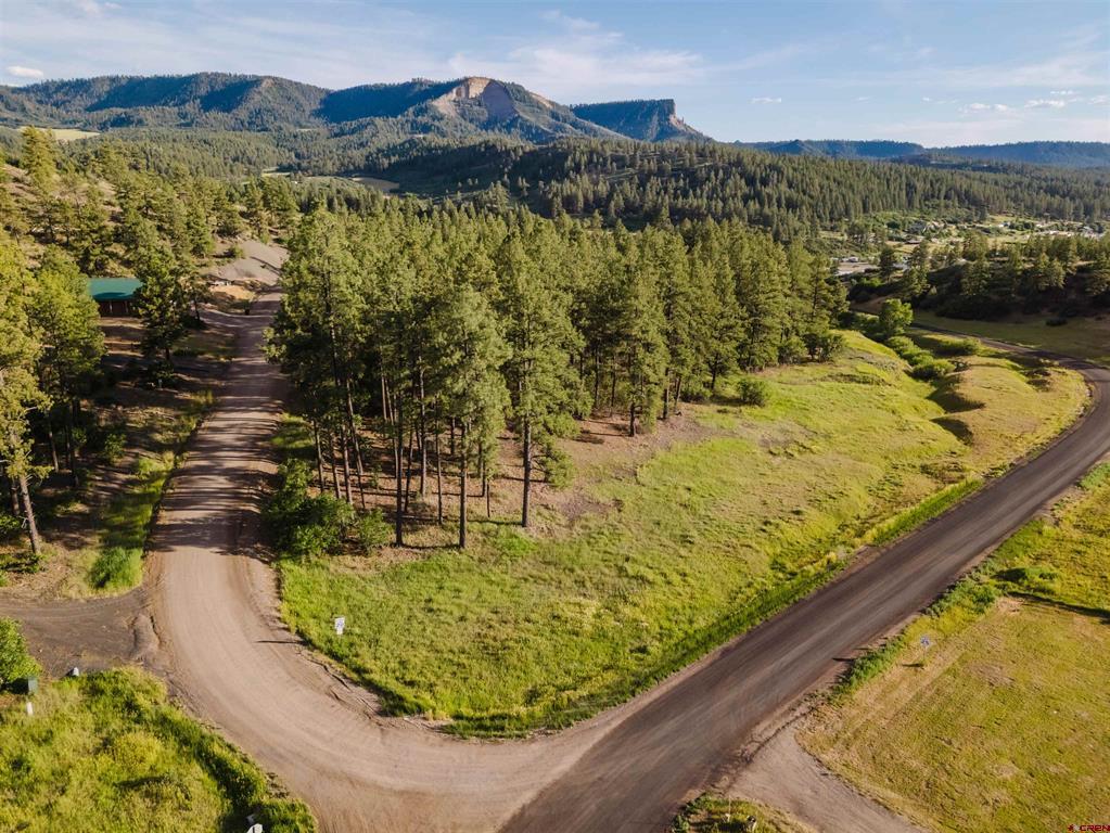 359 Ironwood Drive Pagosa Springs CO 81147