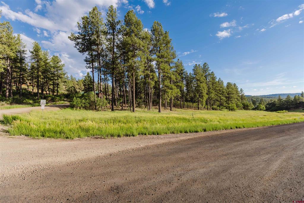 359 Ironwood Drive Pagosa Springs CO 81147