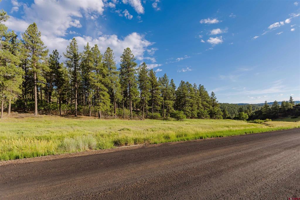 359 Ironwood Drive Pagosa Springs CO 81147