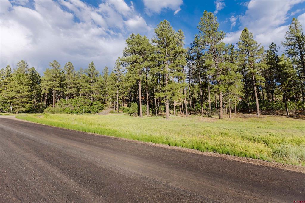 359 Ironwood Drive Pagosa Springs CO 81147