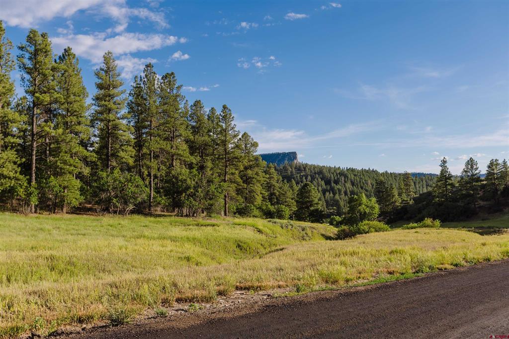 359 Ironwood Drive Pagosa Springs CO 81147
