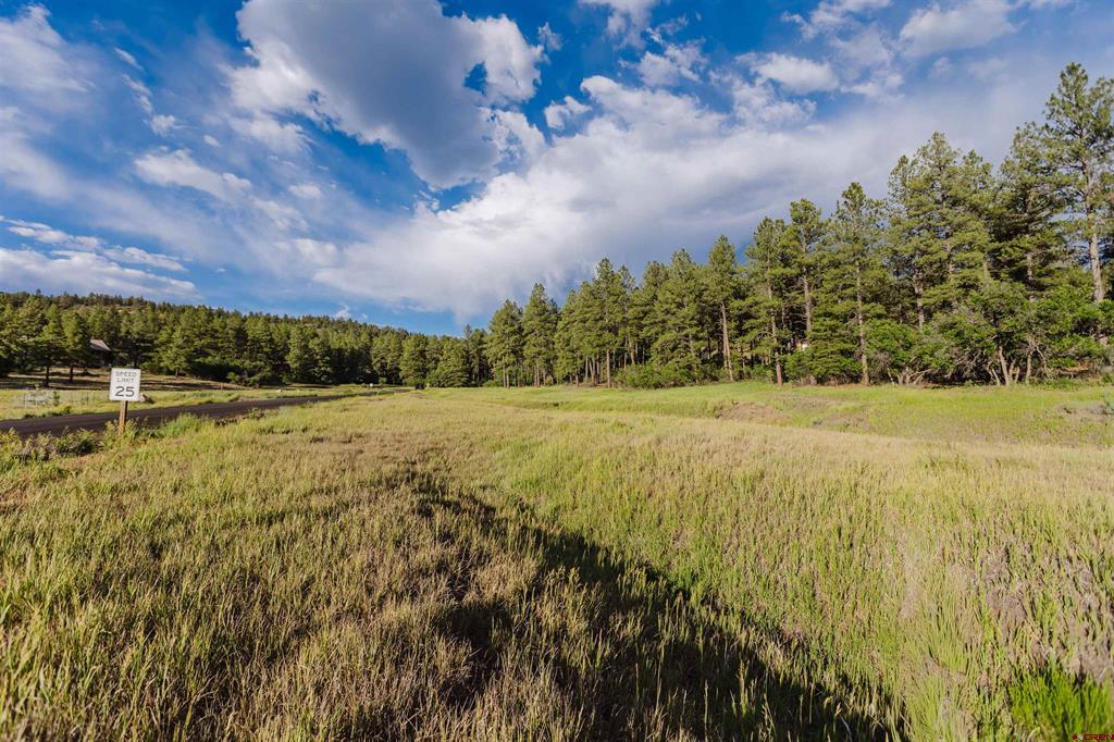 359 Ironwood Drive Pagosa Springs CO 81147