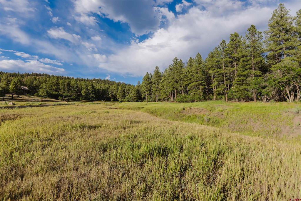 359 Ironwood Drive Pagosa Springs CO 81147