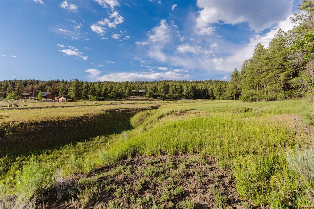 359 Ironwood Drive Pagosa Springs CO 81147