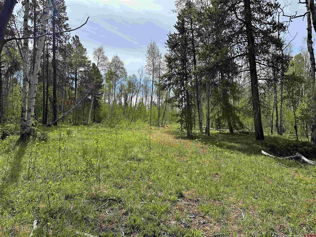 Tbd County Road 743 Gunnison CO 81230