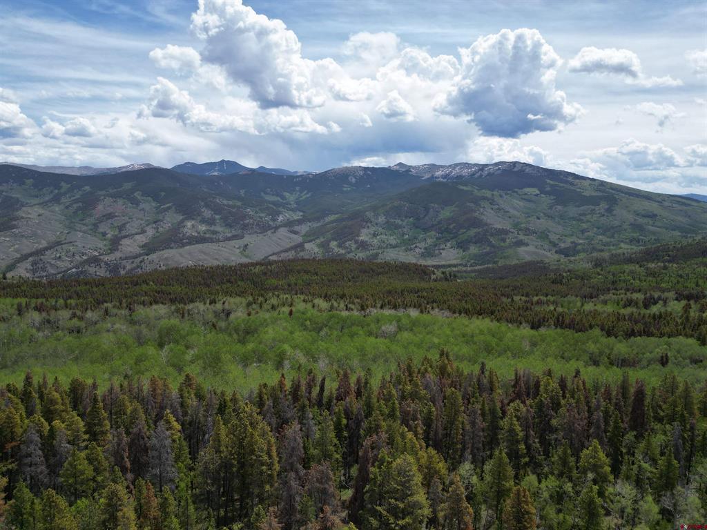 Tbd County Road 743 Gunnison CO 81230