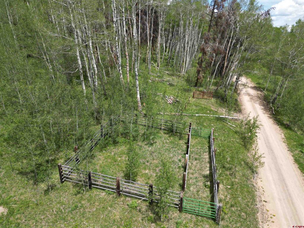Tbd County Road 743 Gunnison CO 81230