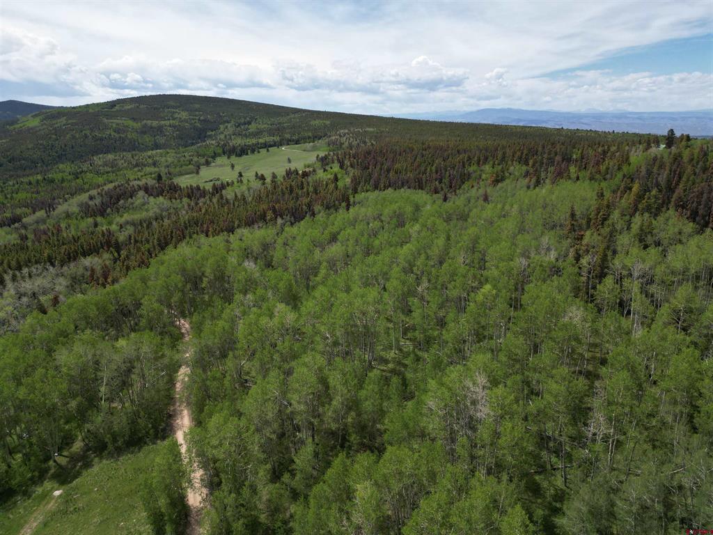 Tbd County Road 743 Gunnison CO 81230
