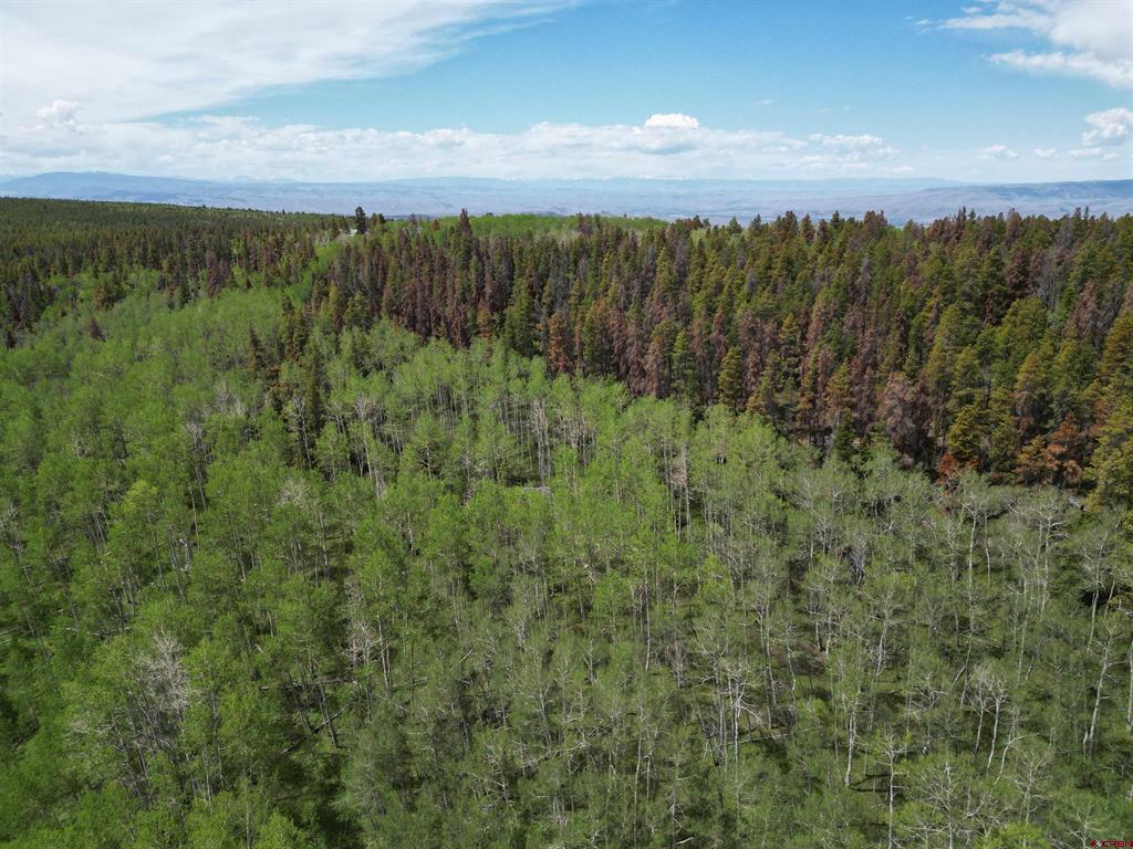 Tbd County Road 743 Gunnison CO 81230