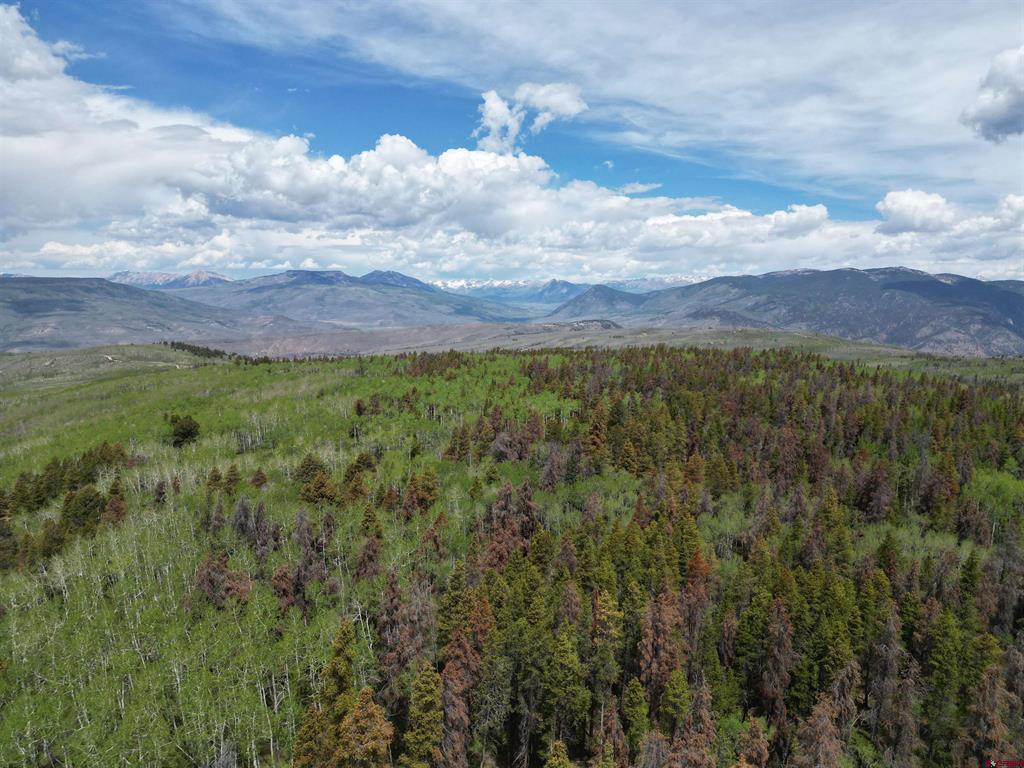 Tbd County Road 743 Gunnison CO 81230